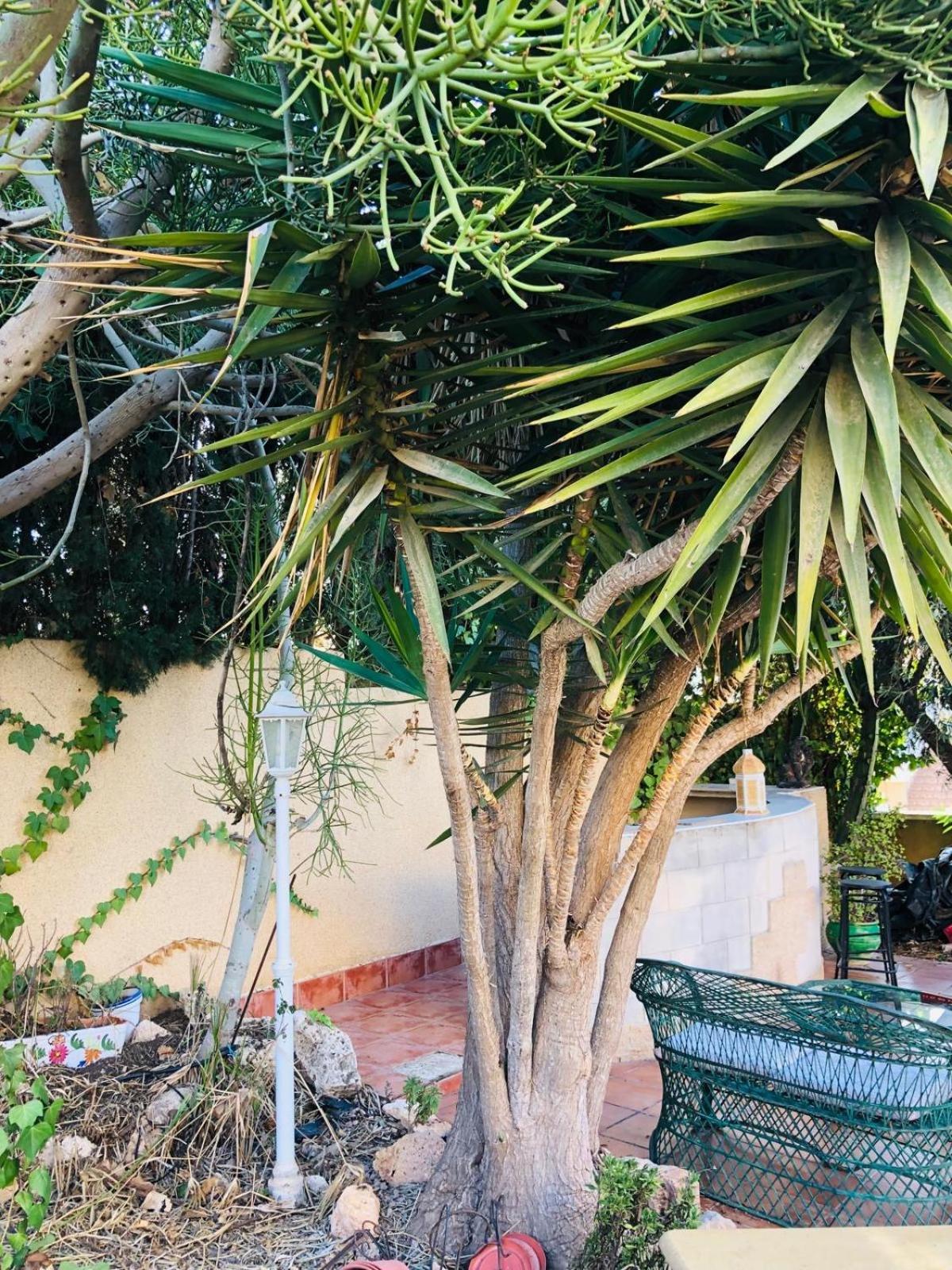 Casa vacanze Casa Jardin Sevillamia In Costa Orihuela