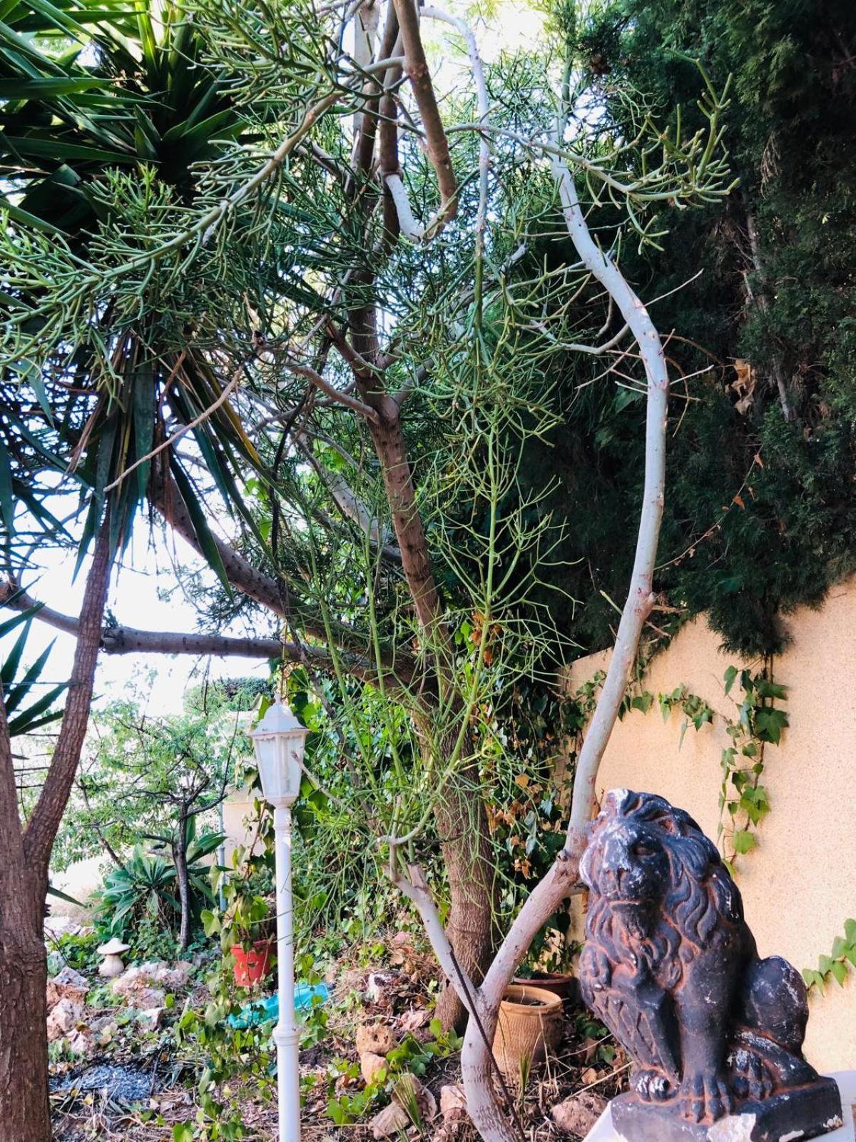 Casa Jardin Sevillamia In Costa